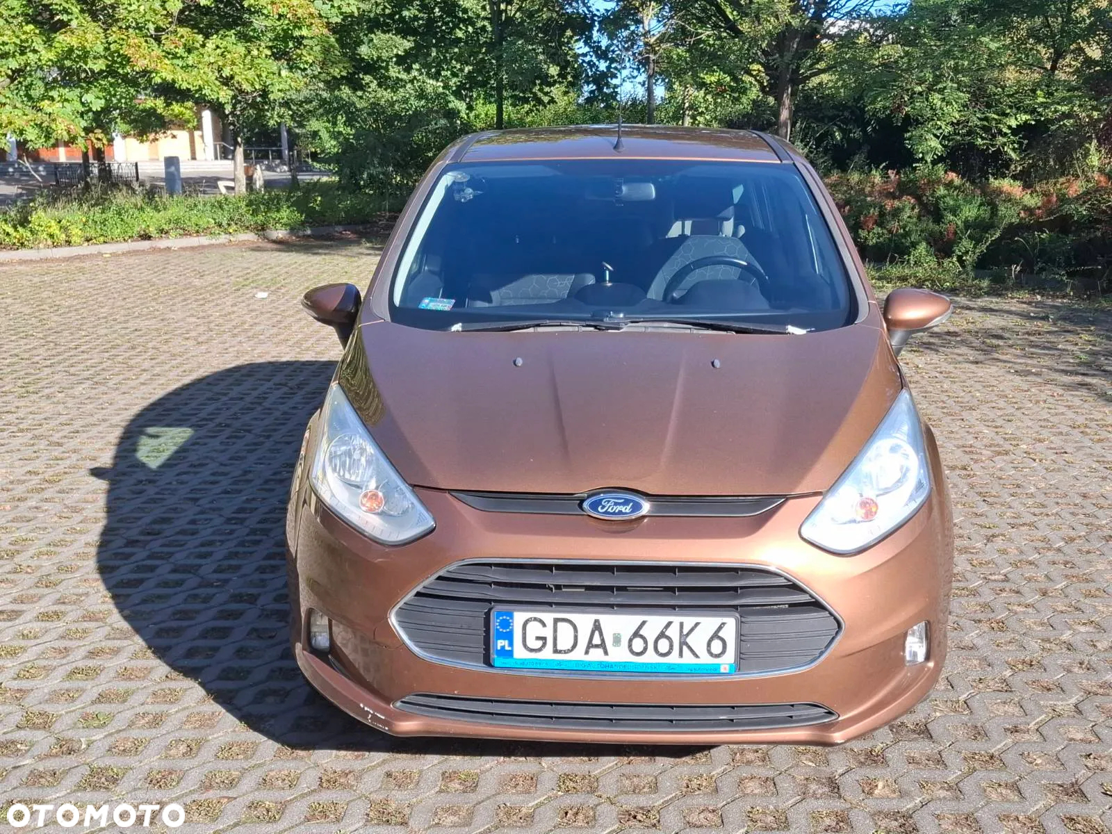 Ford B-MAX 1.0 EcoBoost Trend - 8