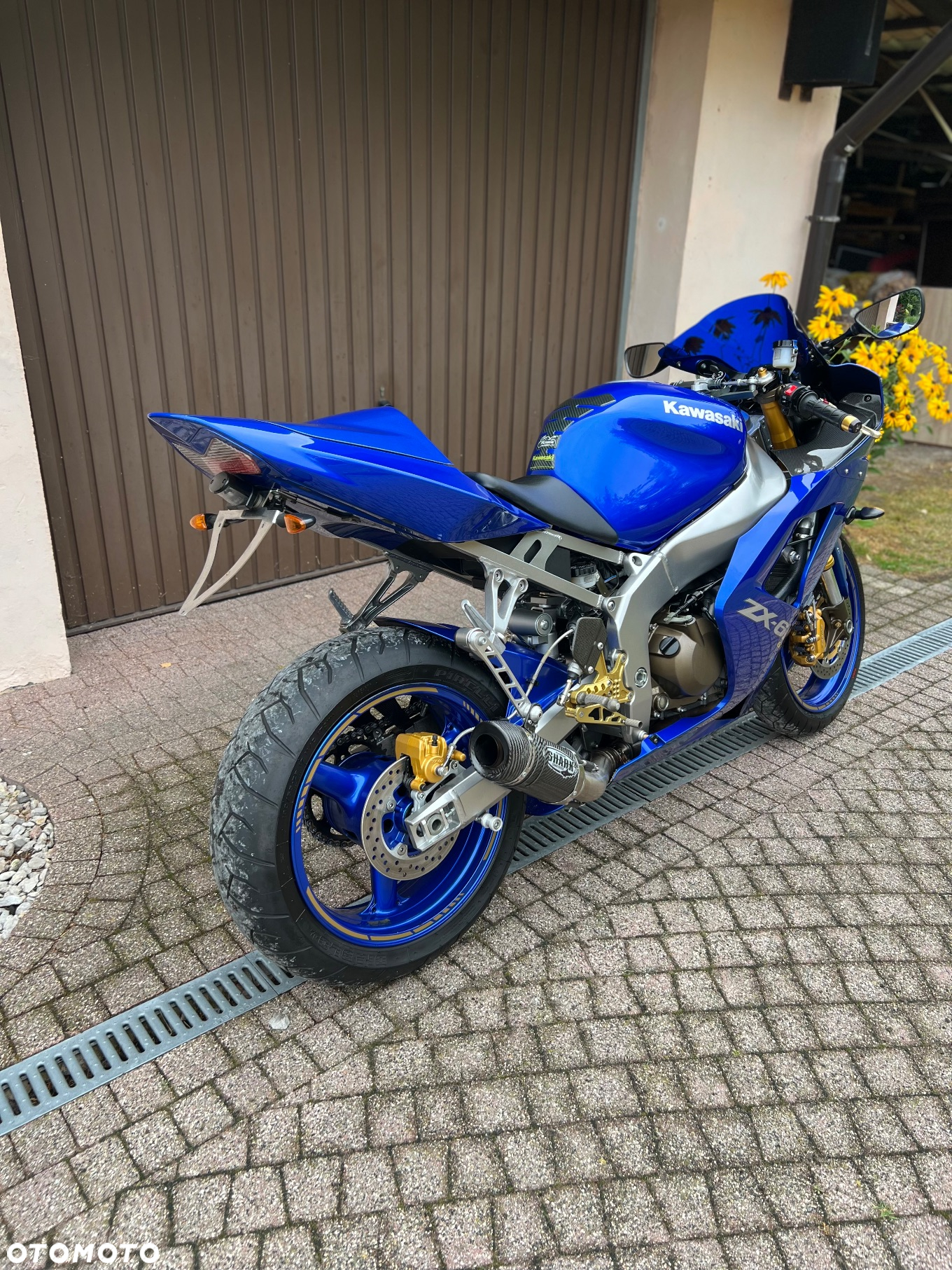 Kawasaki Ninja - 5
