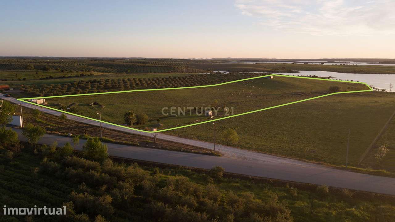 Terreno Rústico com Vista Privilegiada para o Alqueva - Luz, Alentejo - Grande imagem: 5/10