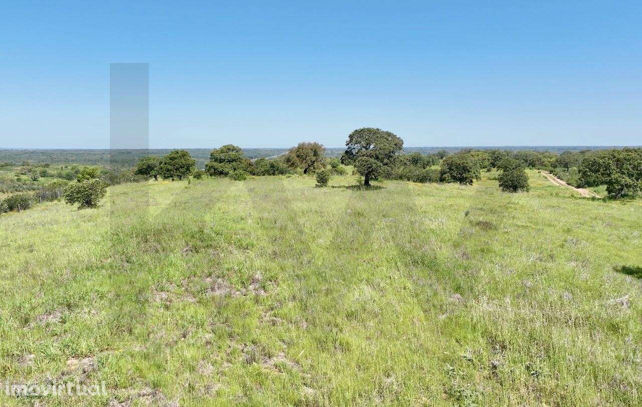 Refúgio Ideal no Alentejo: Investimento único com Potencial Agrícola e - Grande imagem: 3/13