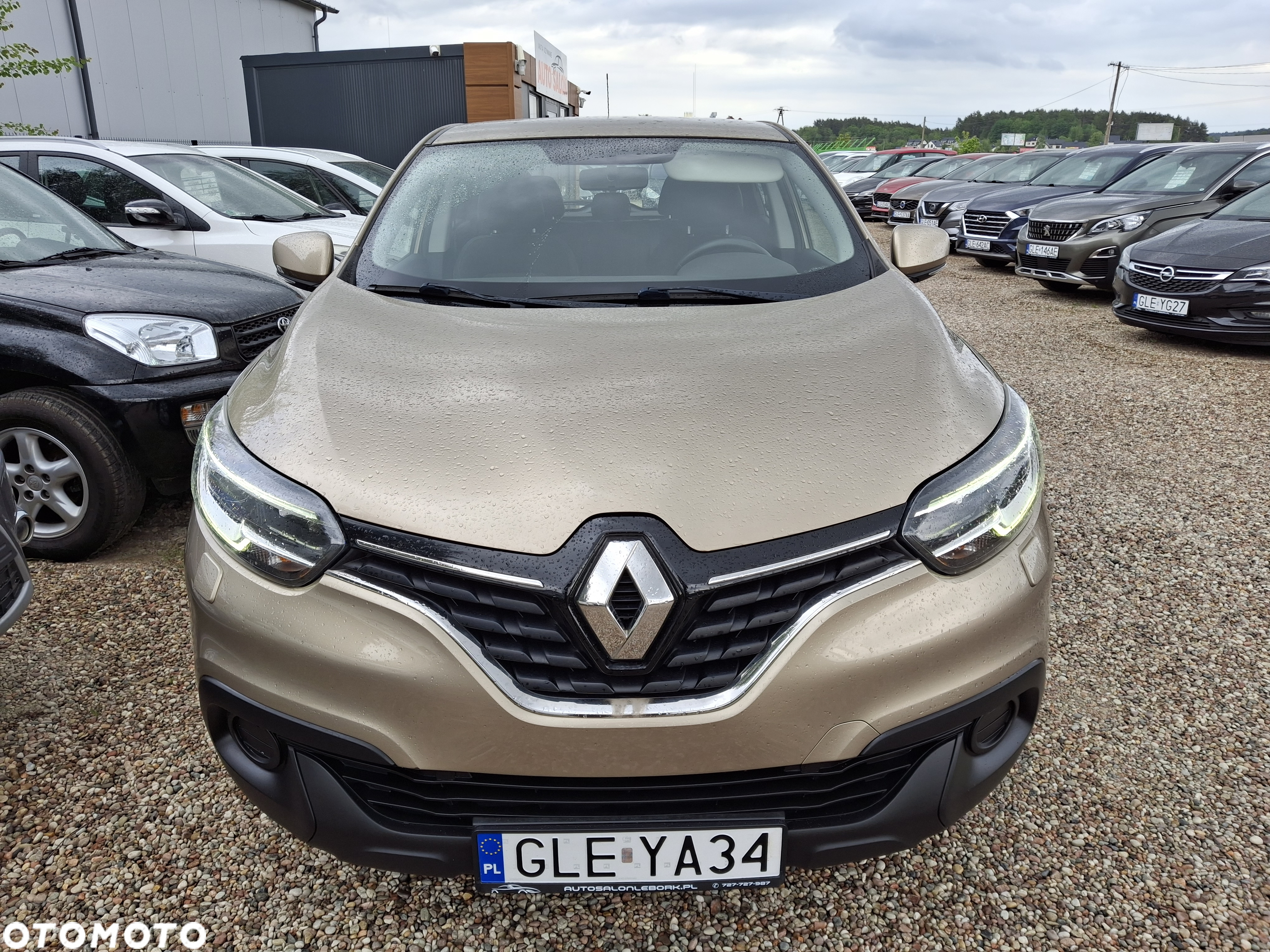 Renault Kadjar Energy TCe 130 Business - 3