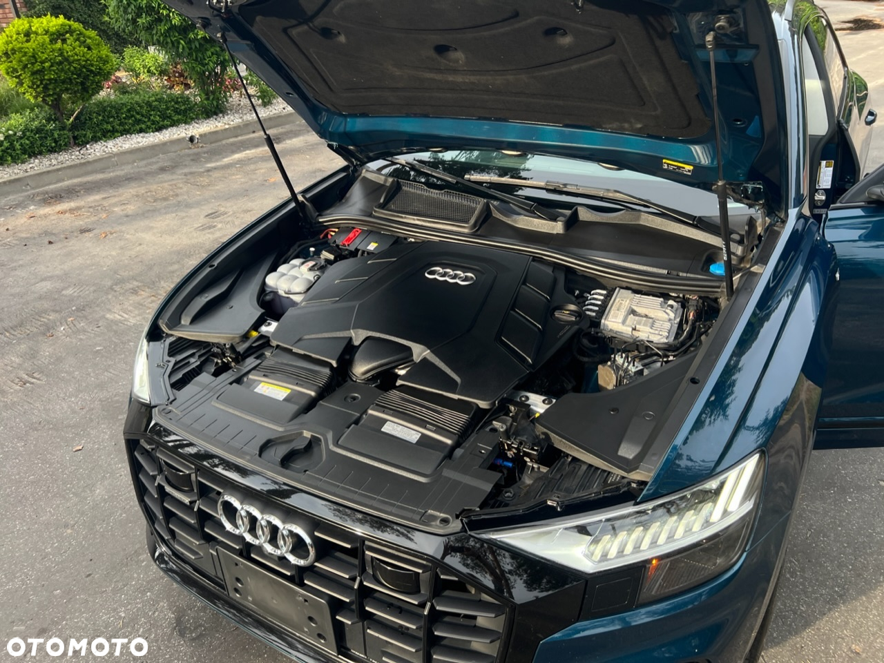 Audi Q8 - 17