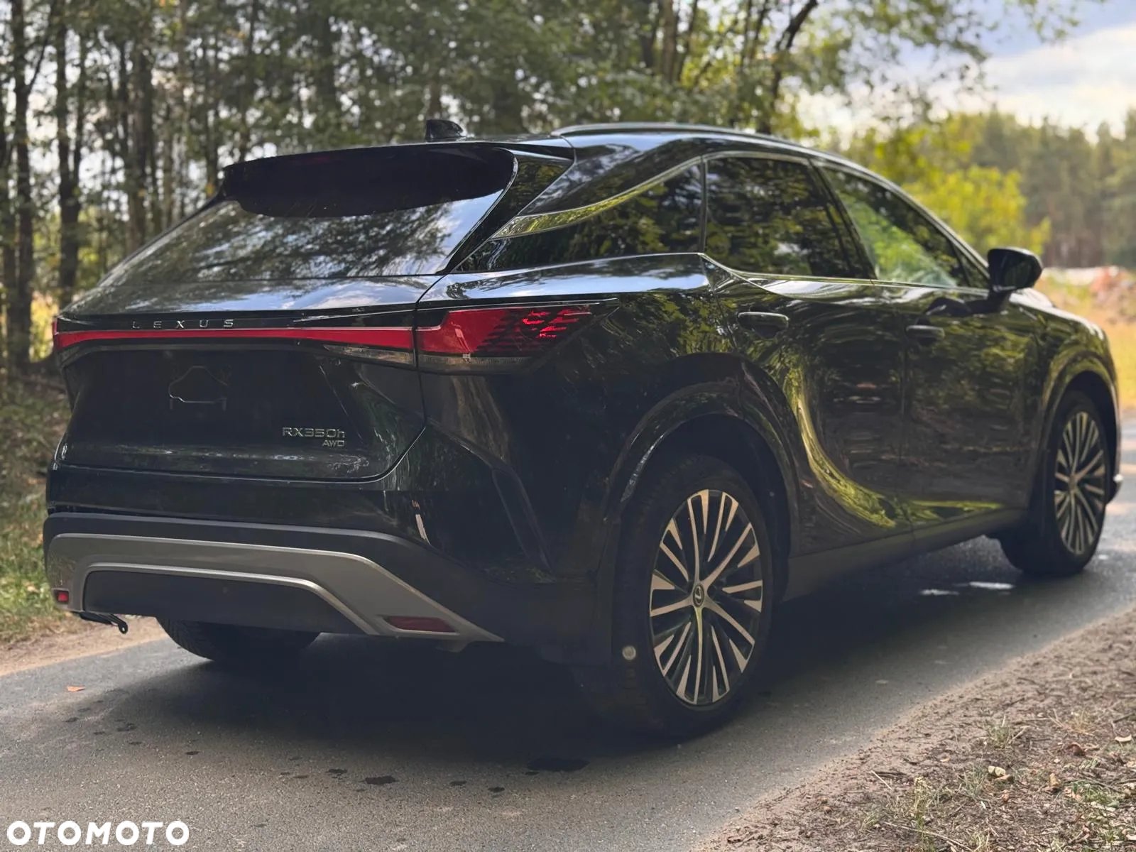 Lexus RX 350h (hybrid) Business - 13