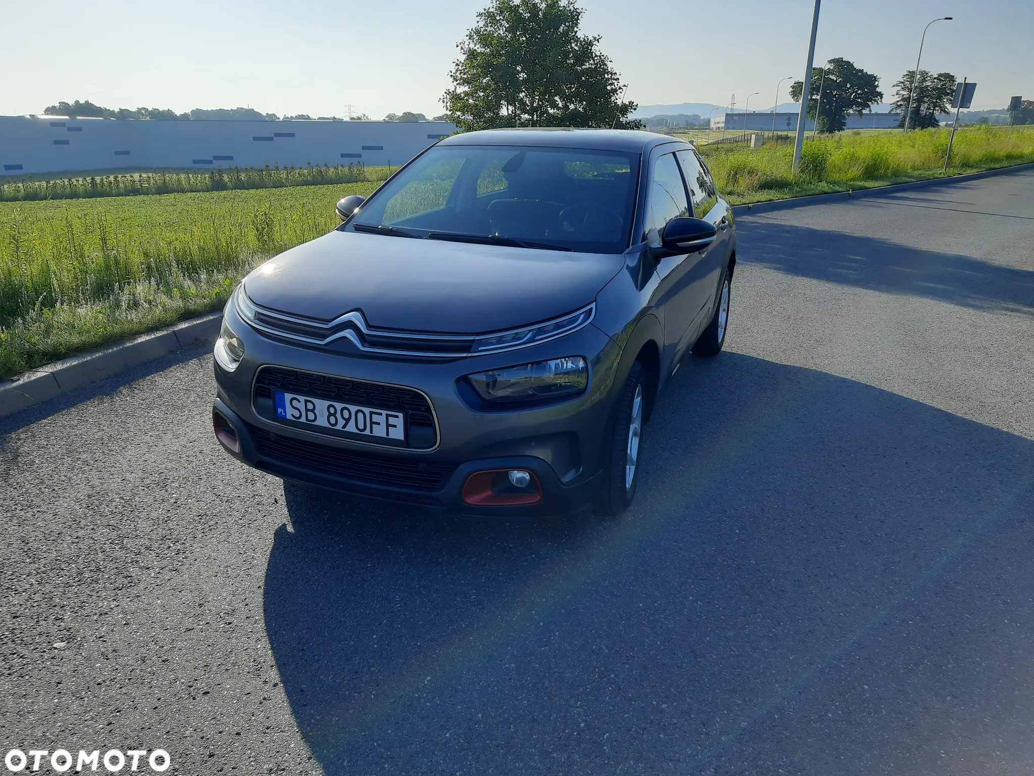 Citroën C4 Cactus BlueHDi 120 Stop&Start EAT6 Shine - 5