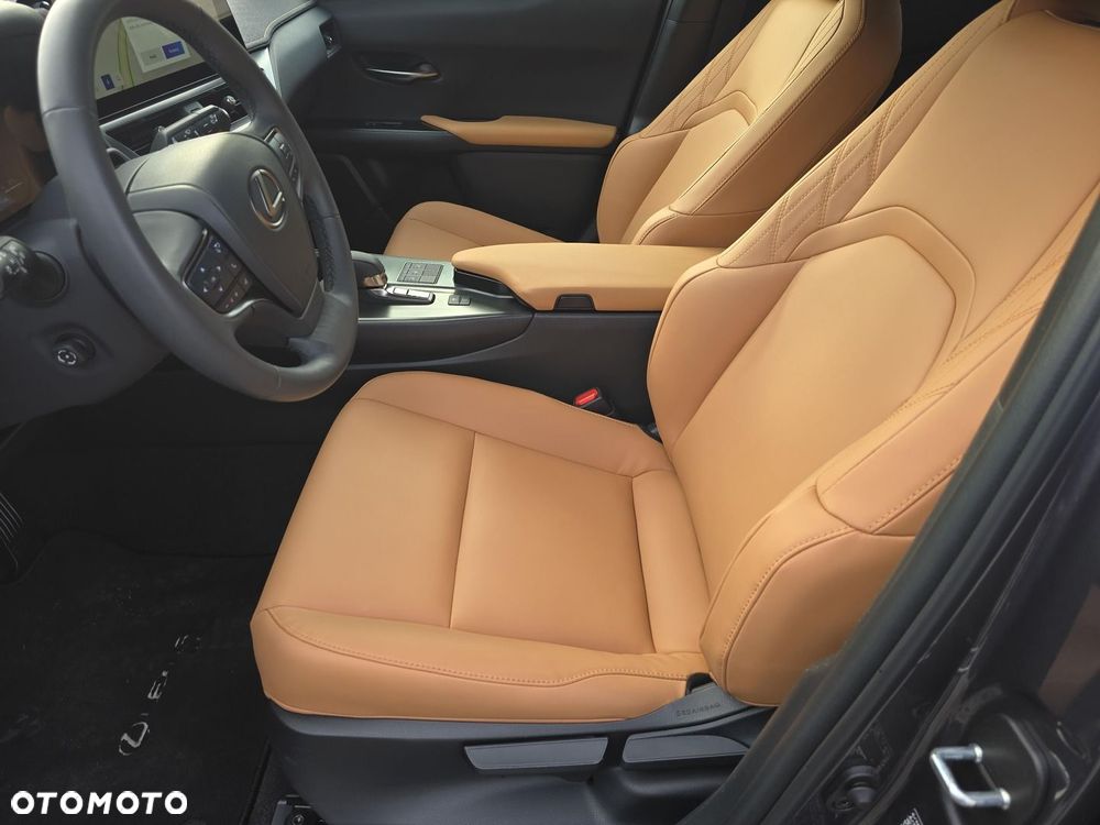 Lexus UX 300h F Sport Design - 18