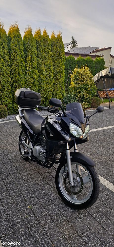 Honda Varadero