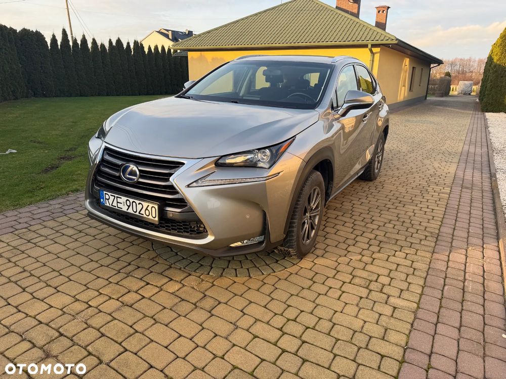 Lexus NX - 1