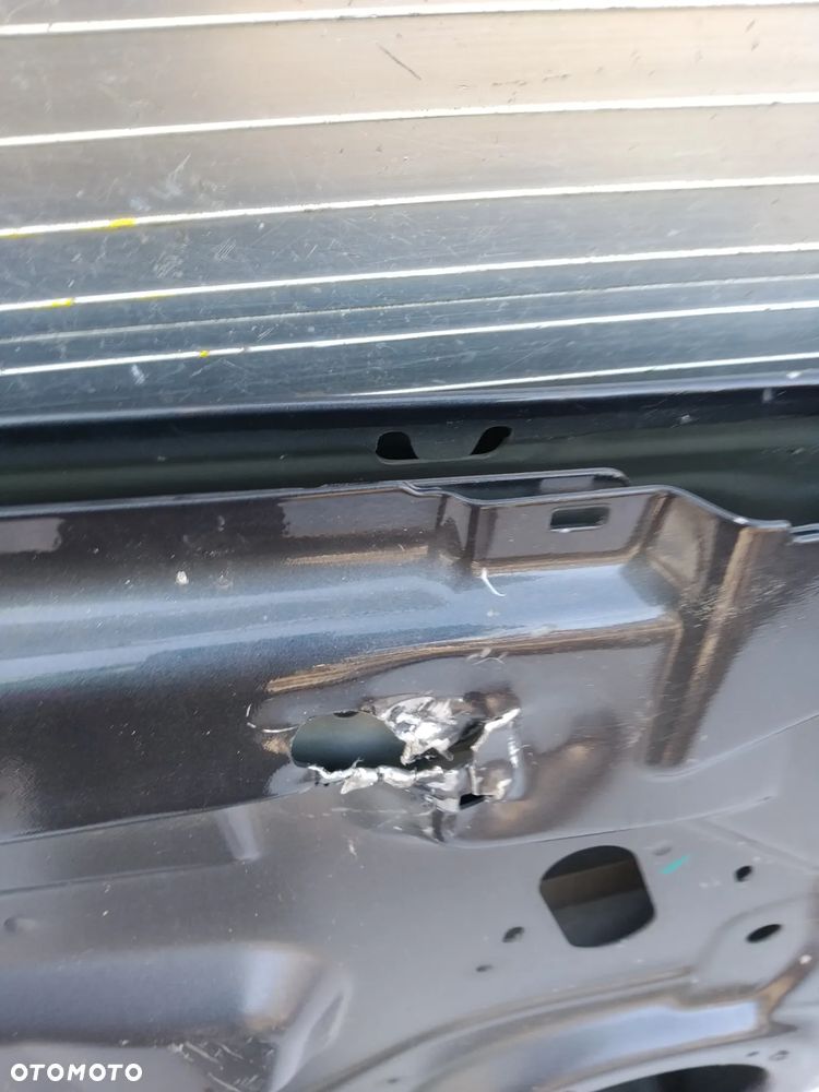 G307/G308/G315/G317/G318/G320/G565 DRZWI TESLA S  lewe przód - 10