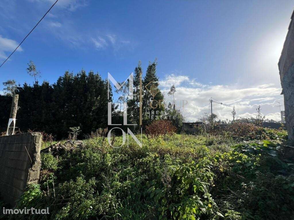 Lote com projeto aprovado - Grande imagem: 3/13