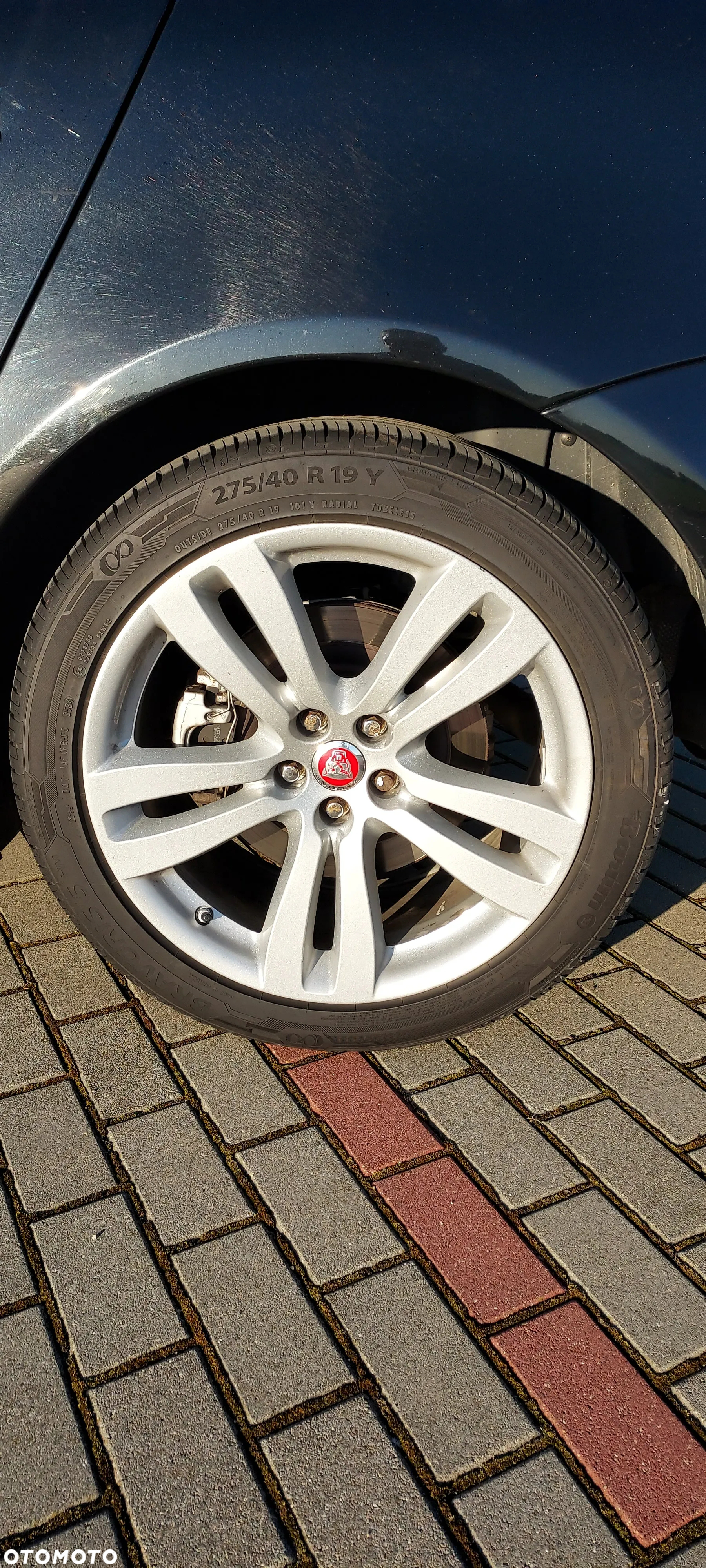 Jaguar XJ 3.0 V6 Kompressor Portfolio - 16