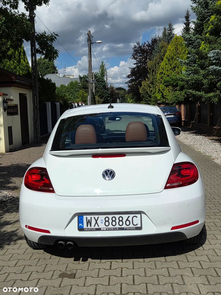 Volkswagen Beetle - 18