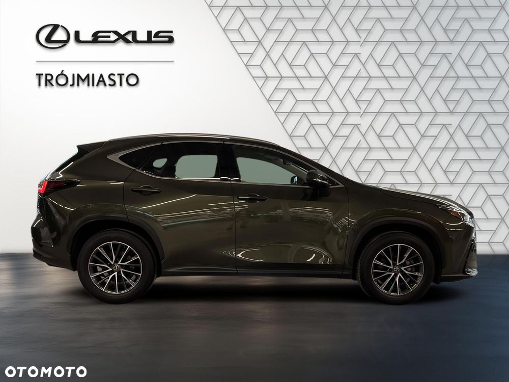Lexus NX 350h Business AWD - 7