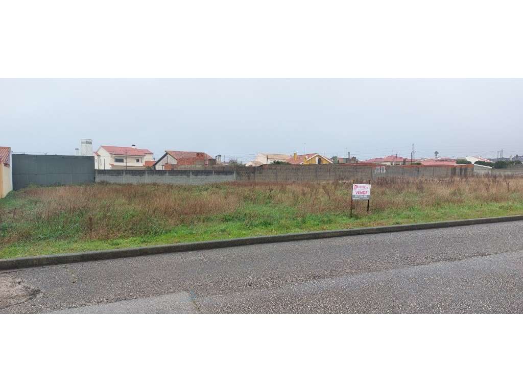 Terreno plano para construção nos Talhões em Vieira de Leiria - Grande imagem: 3/3