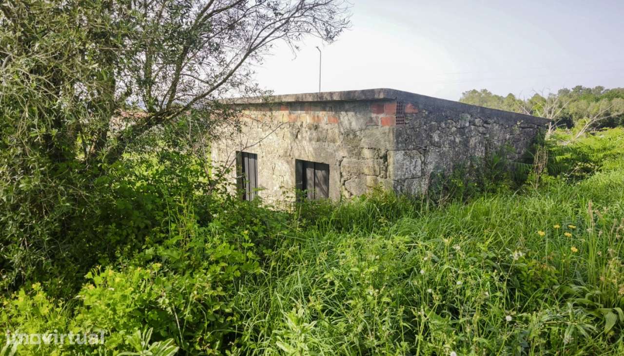 Terreno agrícola em Vila Fria, Viana do Castelo. - Grande imagem: 3/19