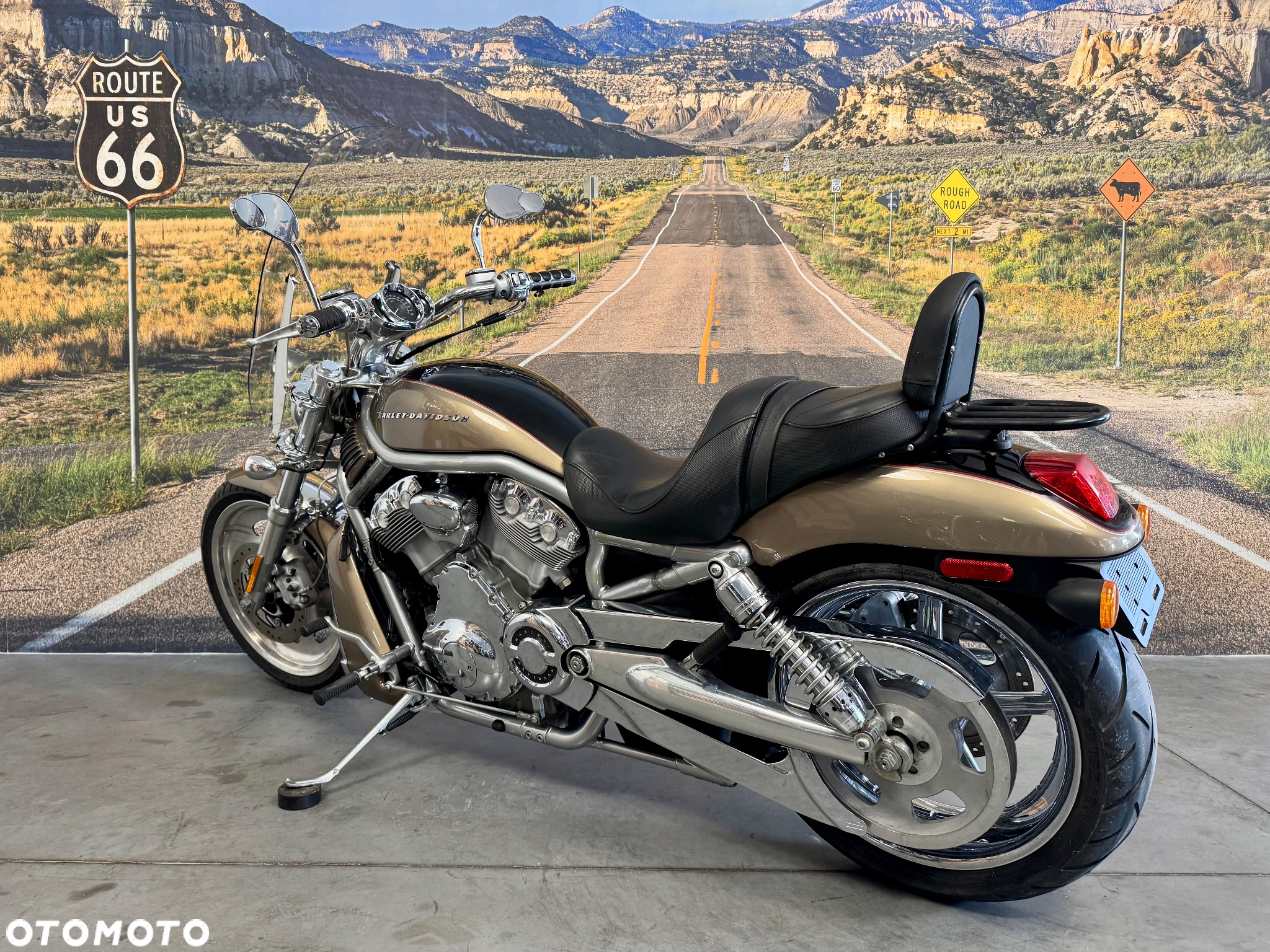 Harley-Davidson V-Rod Street Rod - 9