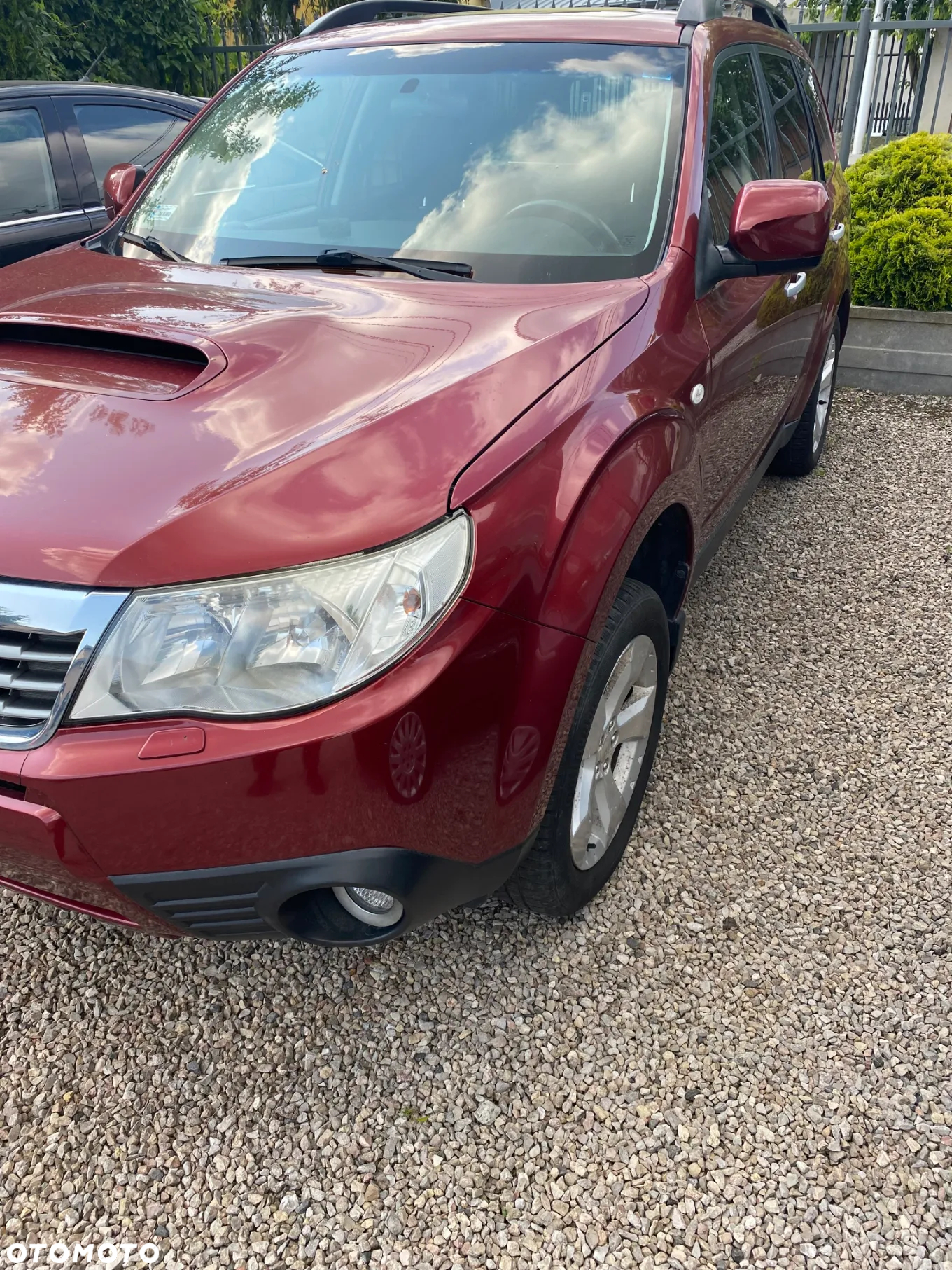 Subaru Forester - 3