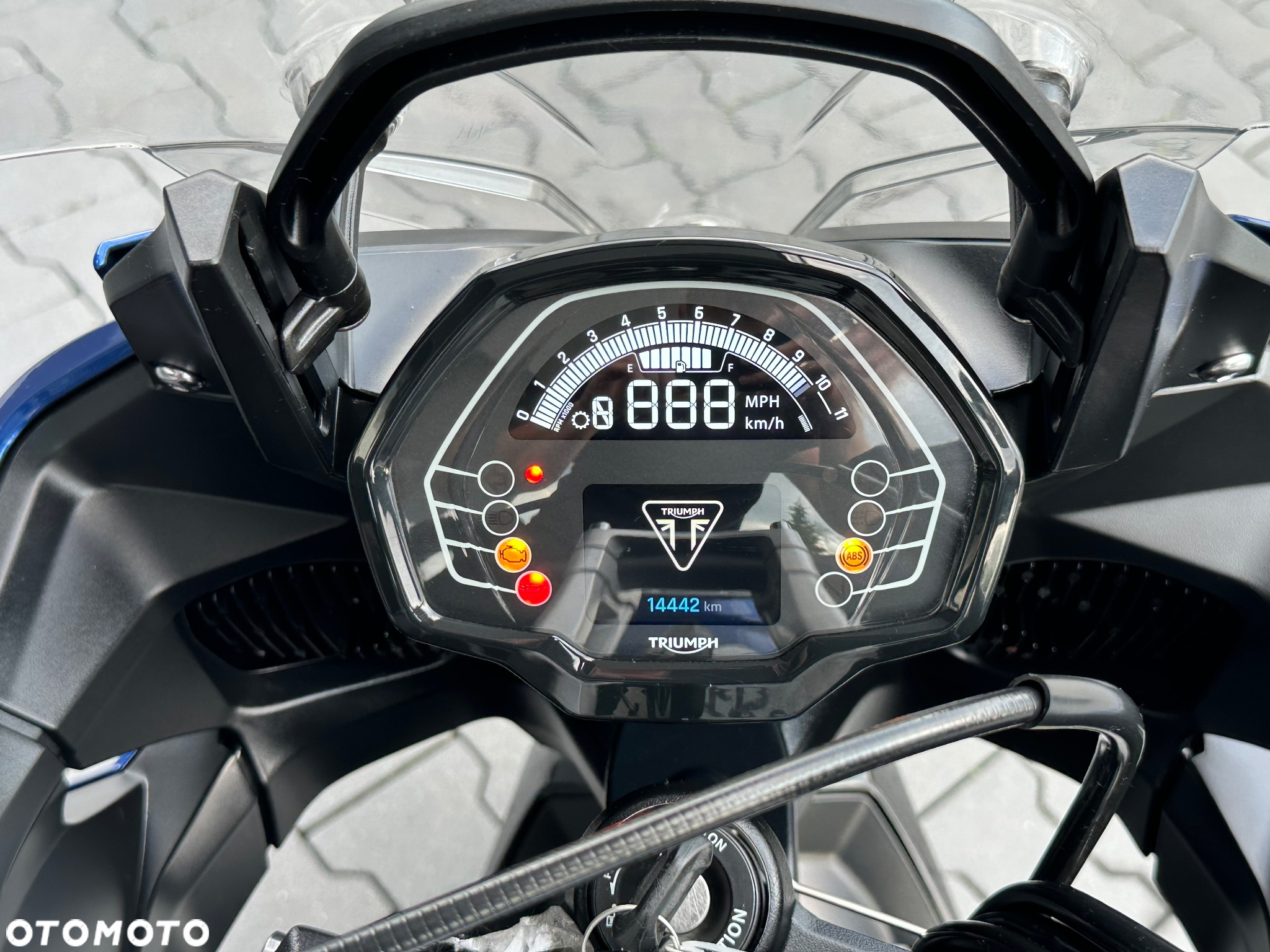Triumph Tiger - 23