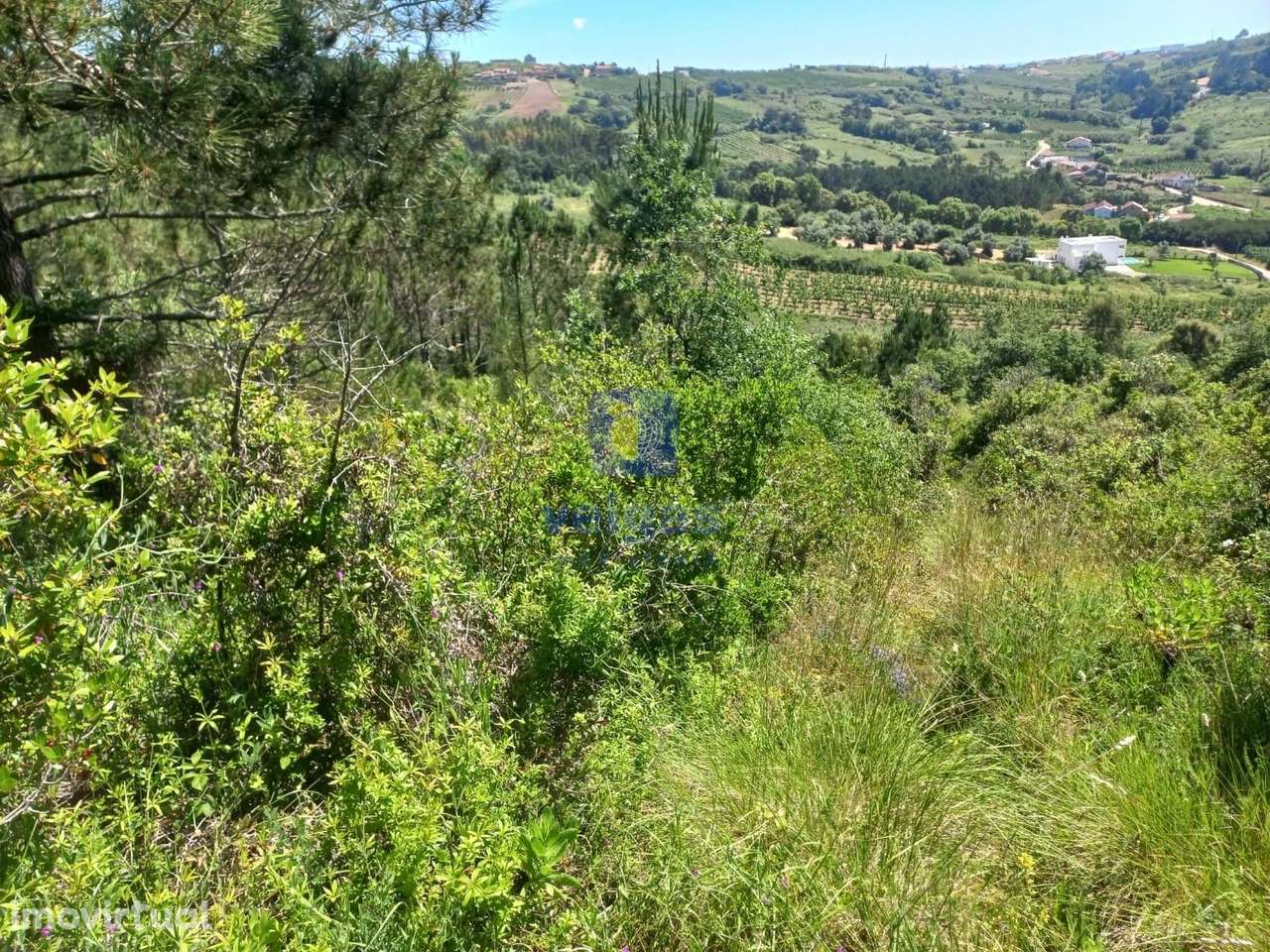 Incrível Terreno Rústico de 30.000 m², localizado nas Cruzes - Salir - Grande imagem: 5/26