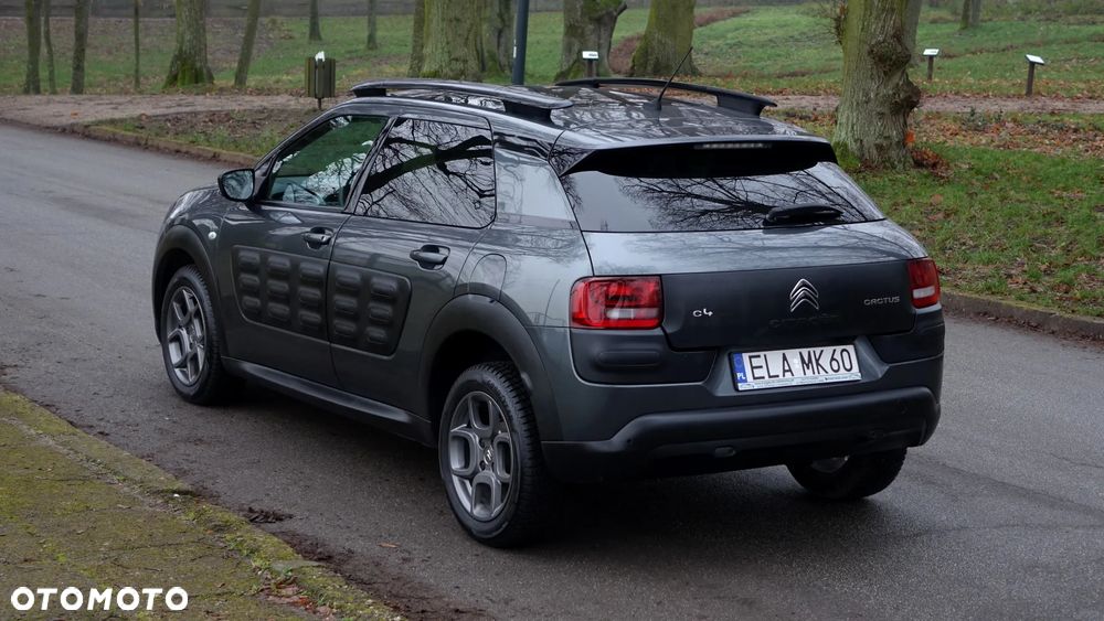 Citroën C4 Cactus 1.6 Blue HDi Shine - 30