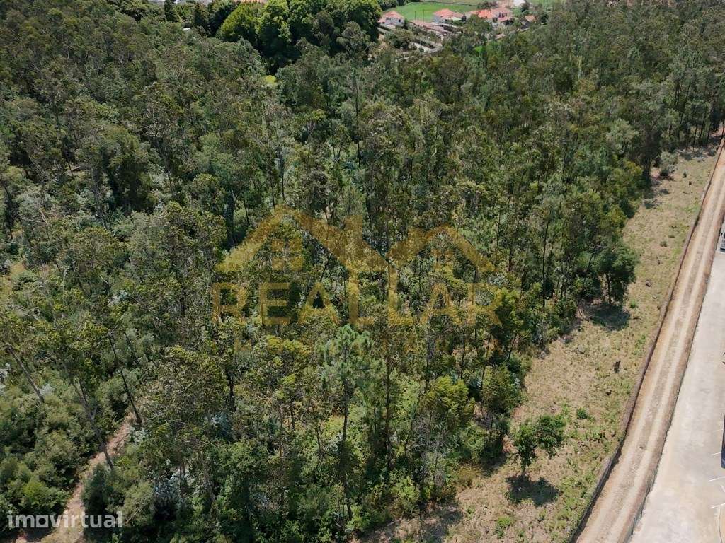 Terreno Industrial em Vila do Conde: Projeto Otimizado e Alta Capac... - Grande imagem: 4/22