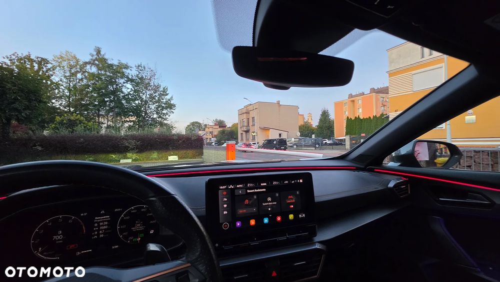 Cupra Formentor 2.0 TSI 4Drive DSG - 16