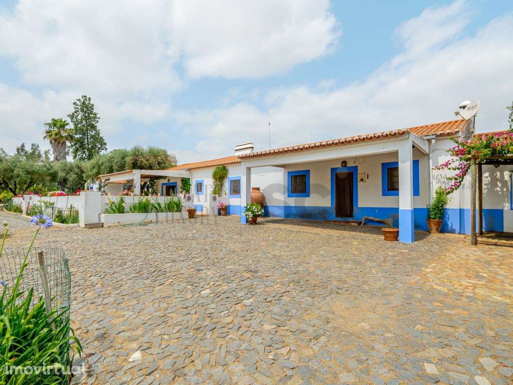 Quinta no Alentejo, Beja, com uma habitação T4 e Piscina - Grande imagem: 2/49