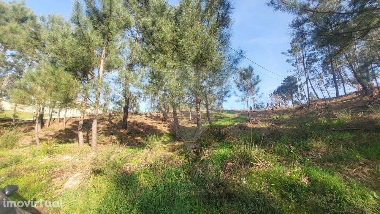 Terreno  para venda - Grande imagem: 5/6