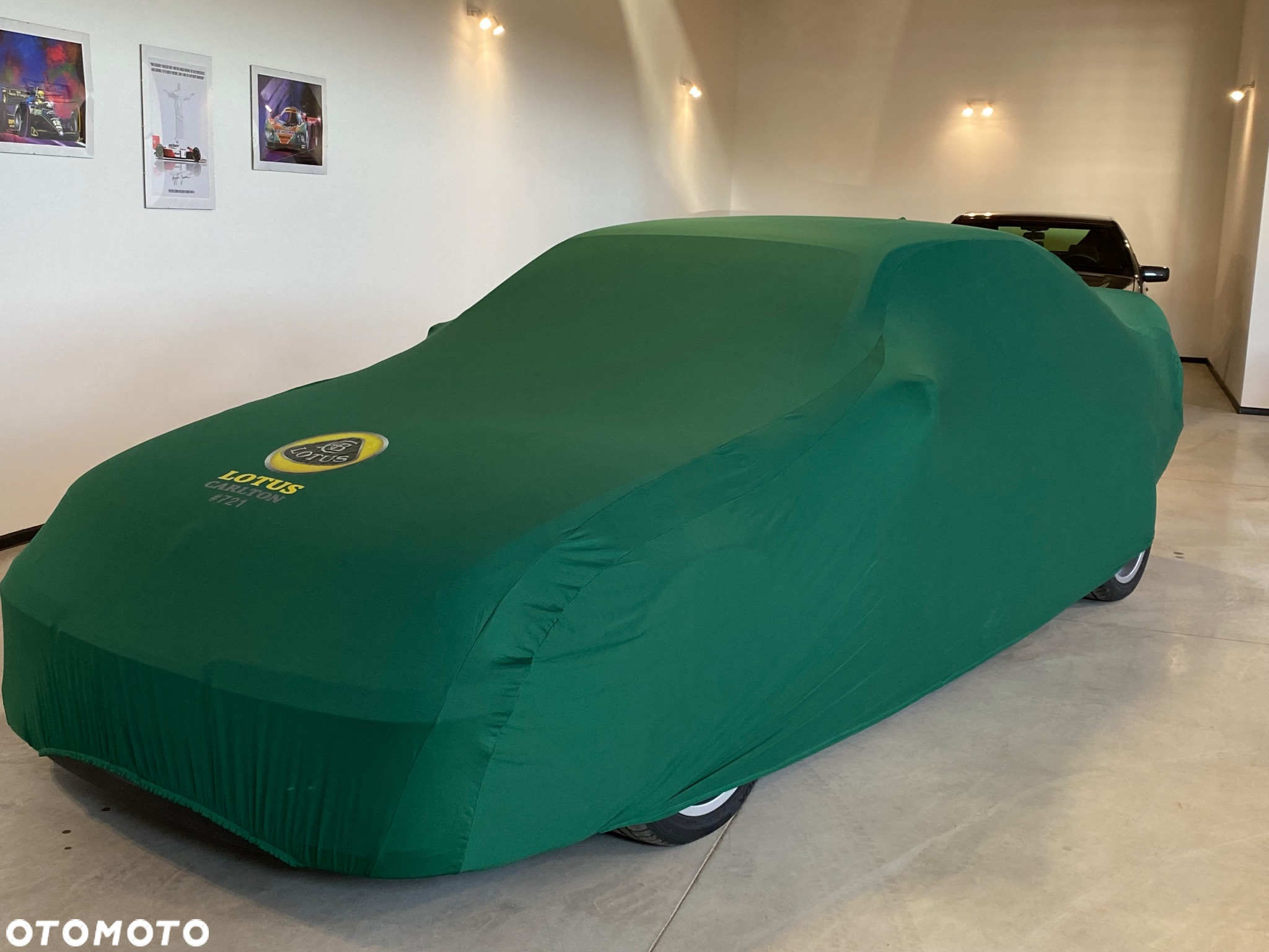 Lotus Inny - 39