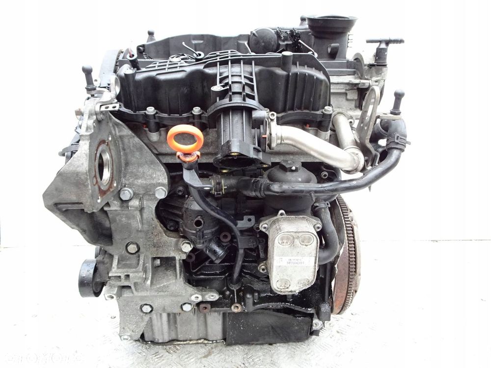 silnik vw golf vi seat skoda audi 1.6 tdi cay - 8