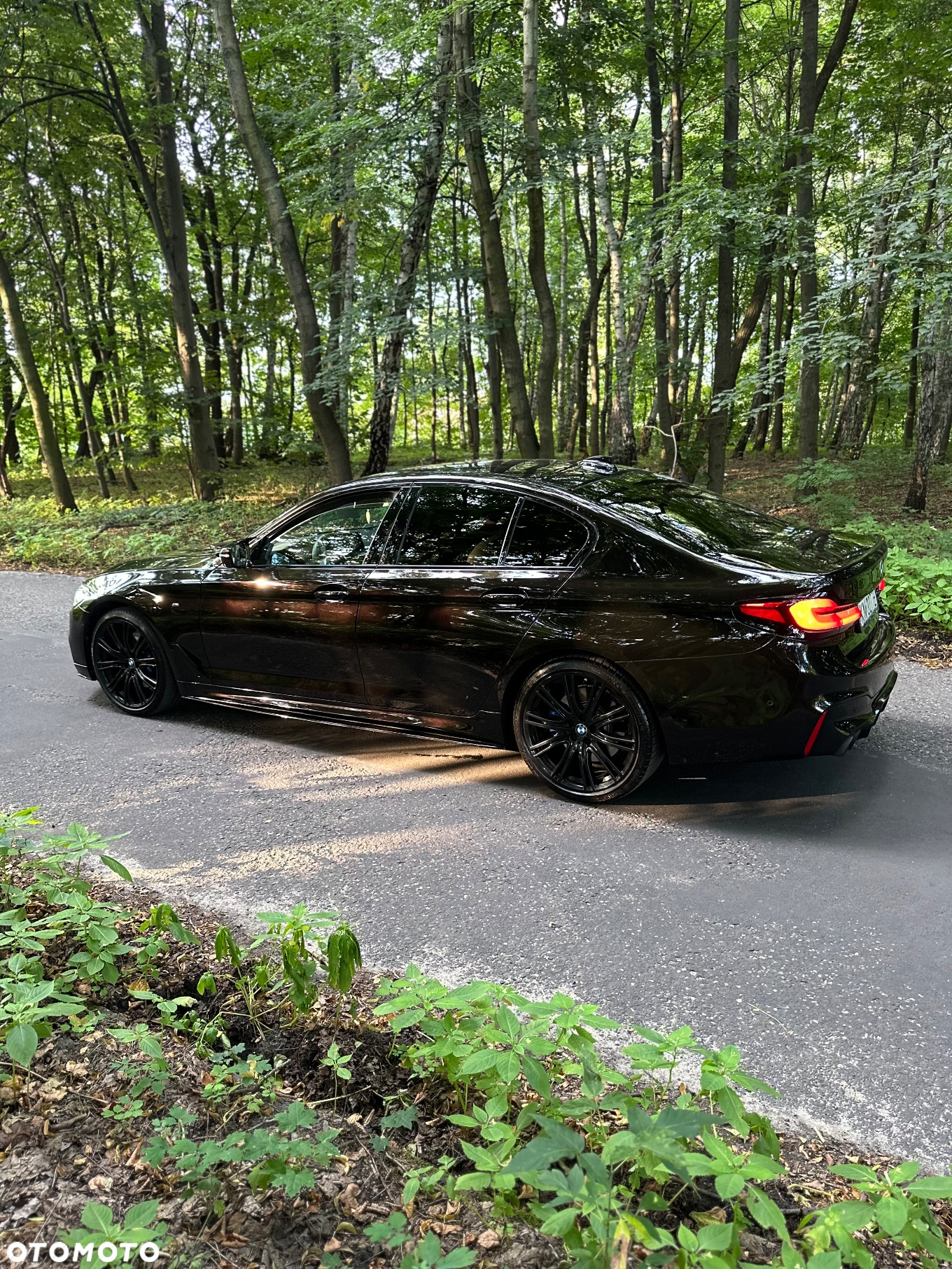 BMW Seria 5 530i xDrive M Sport sport - 6