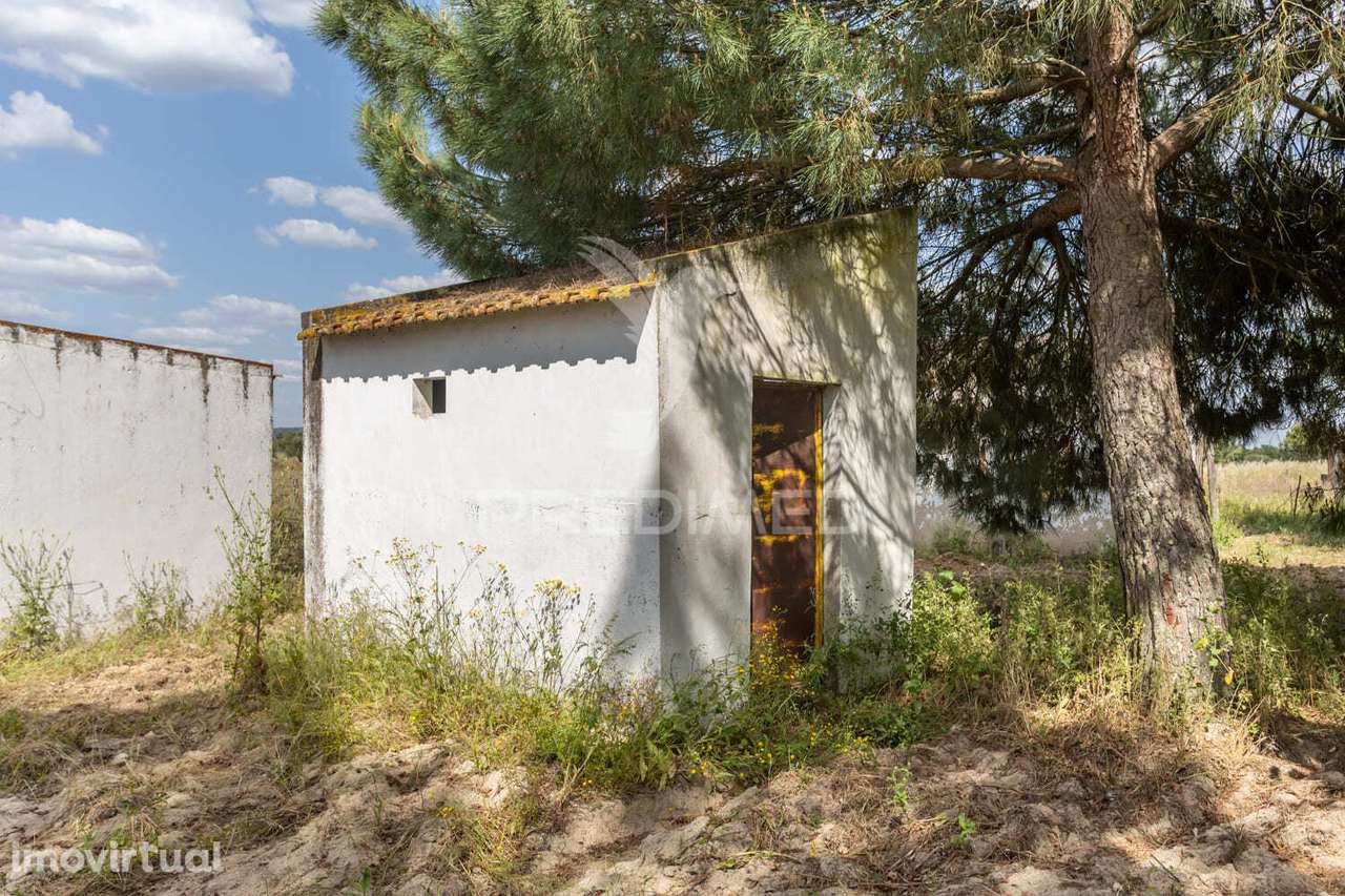 EXCELENTE PROPRIEDADE C/ CASA DE HABITAÇÃO - Grande imagem: 5/40