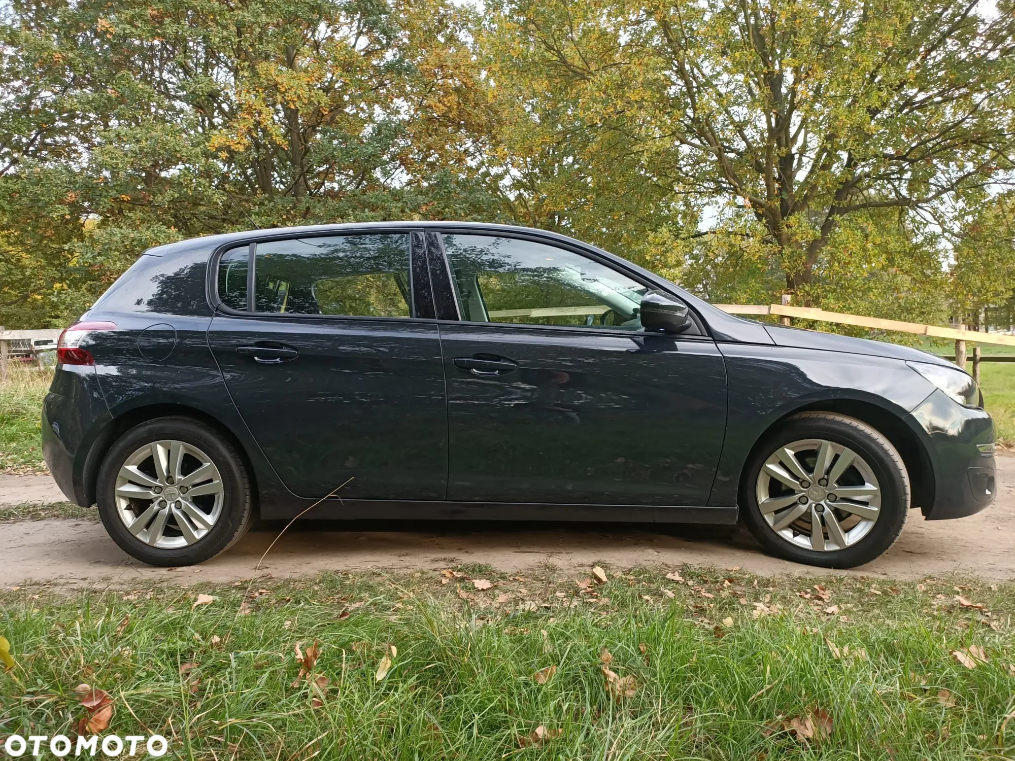 Peugeot 308 1.6 THP Active - 9
