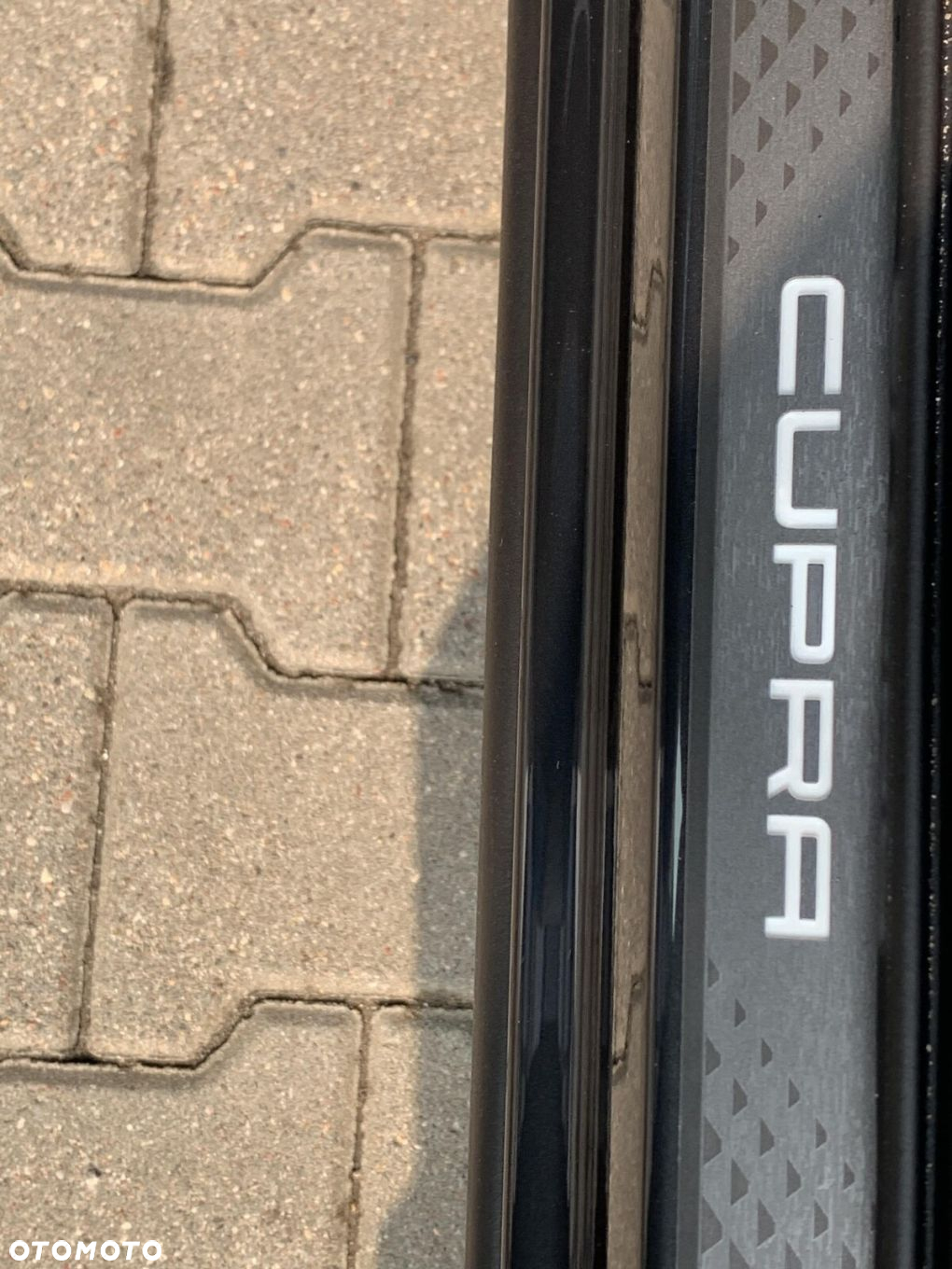 Cupra Terramar - 11