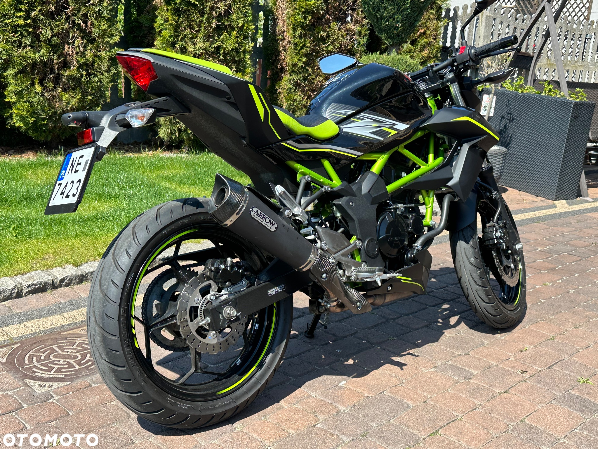 Kawasaki Z - 5