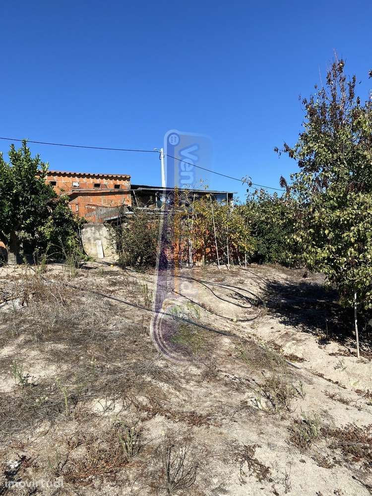 Armazém com Terreno em Brotas (MOR078) - Grande imagem: 3/15