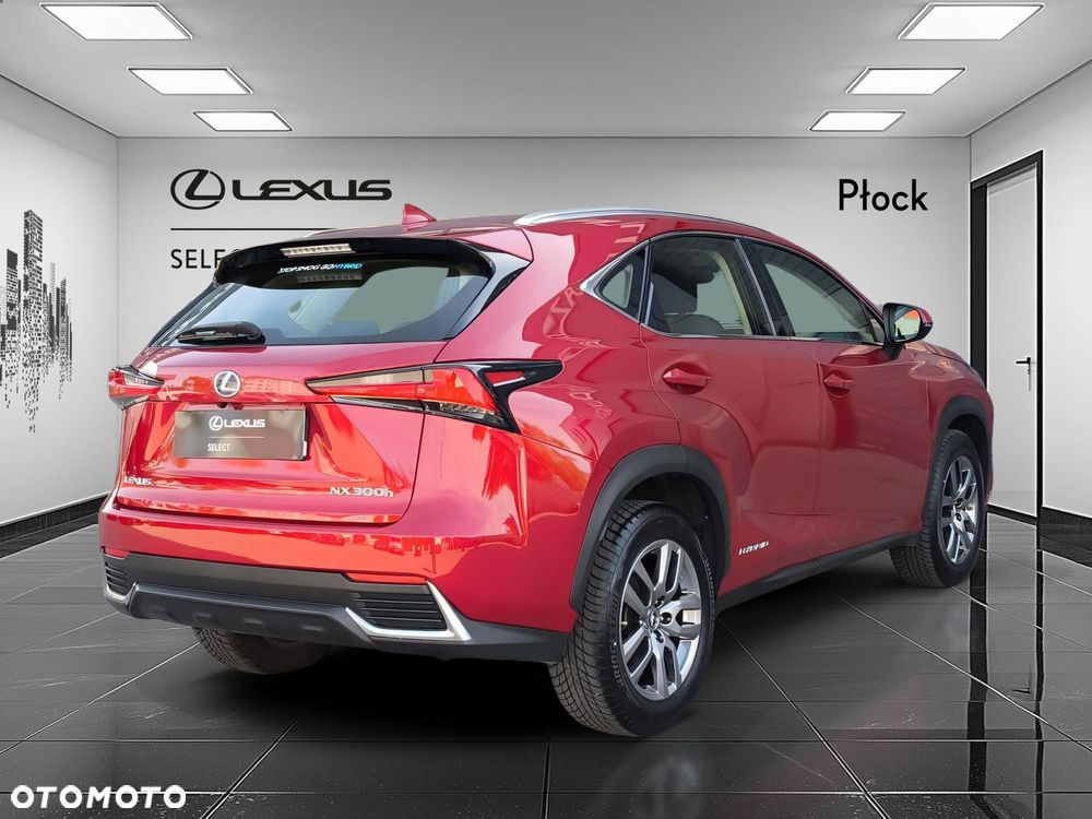 Lexus NX 300h Business Edition AWD - 5