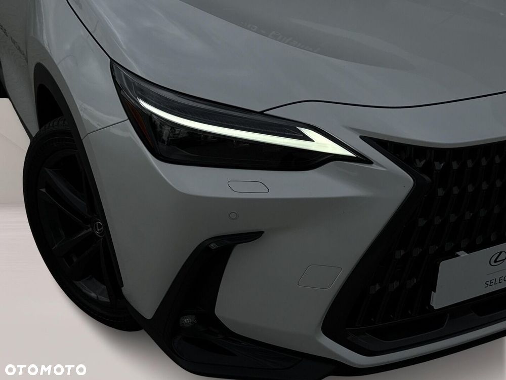 Lexus NX - 6