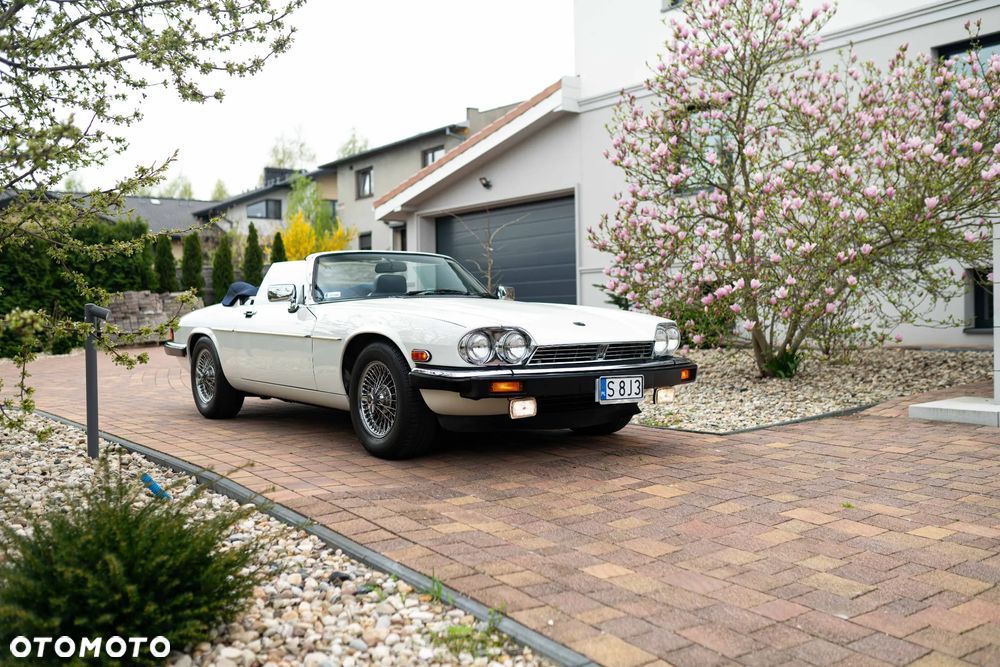 Jaguar XJS 5.3 - 9
