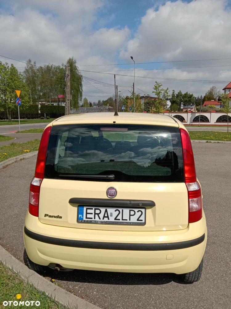 Fiat Panda 1.2 Classic Eco - 5