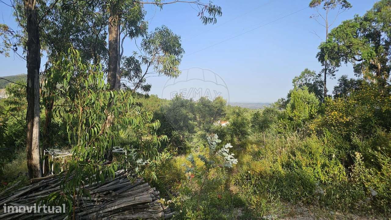 Terreno  para venda - Grande imagem: 3/5