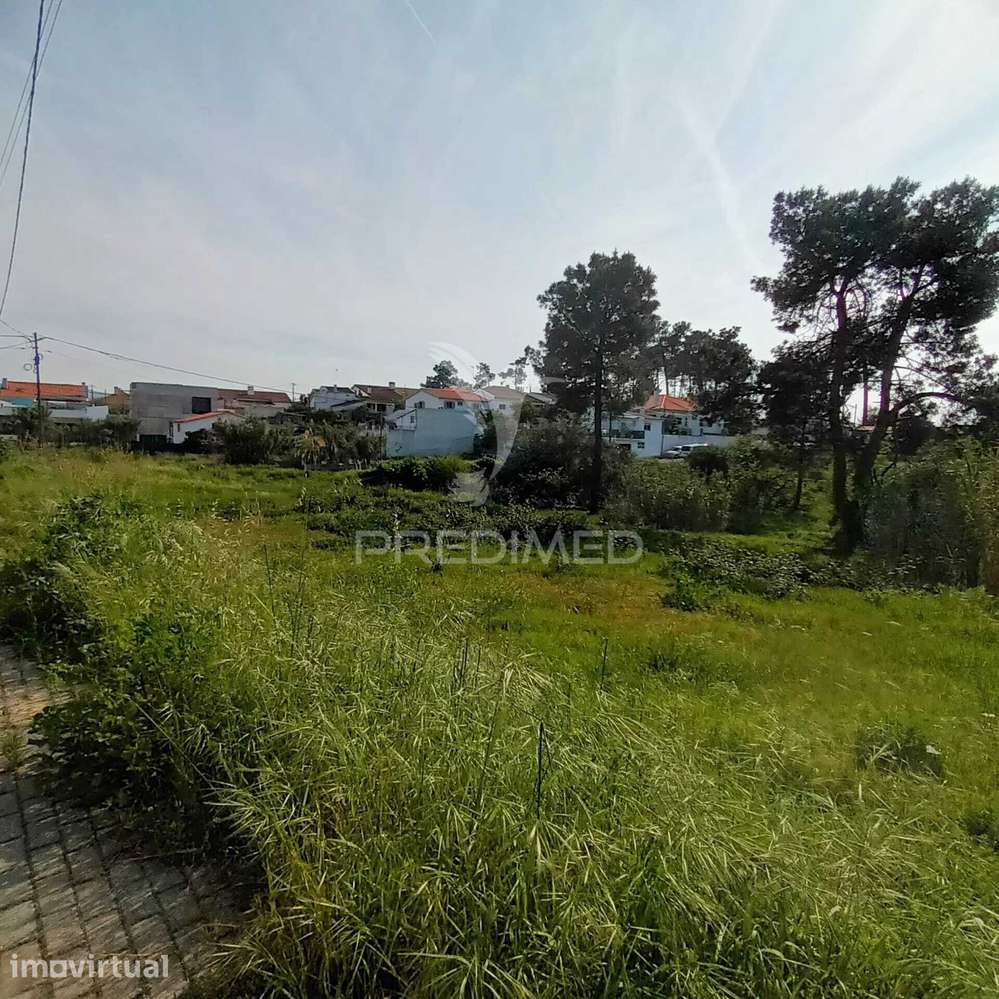 Lote para construção em Azeitão - Grande imagem: 2/22