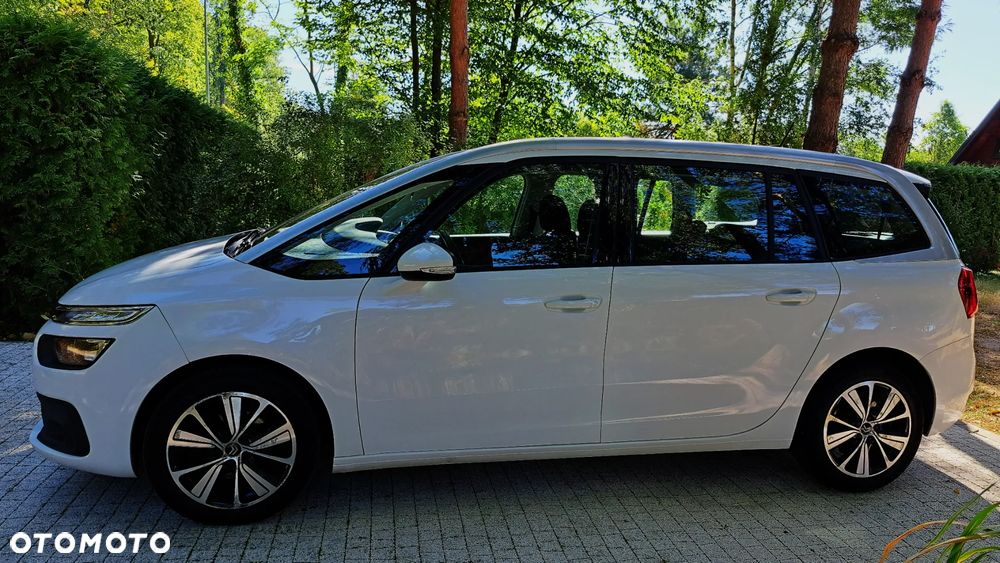 Citroën C4 SpaceTourer 1.5 BlueHDi More Life S&S - 8