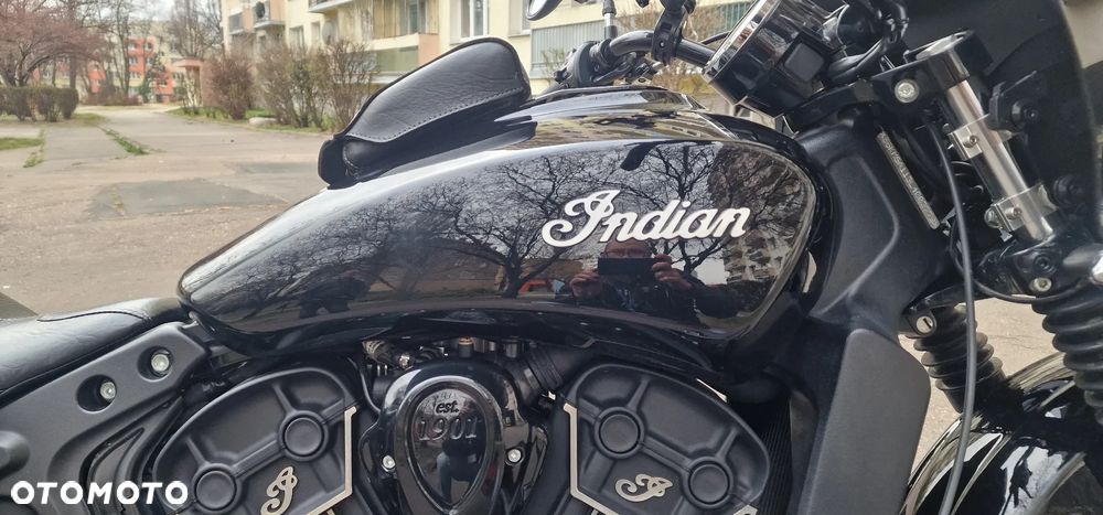 Indian Scout - 21