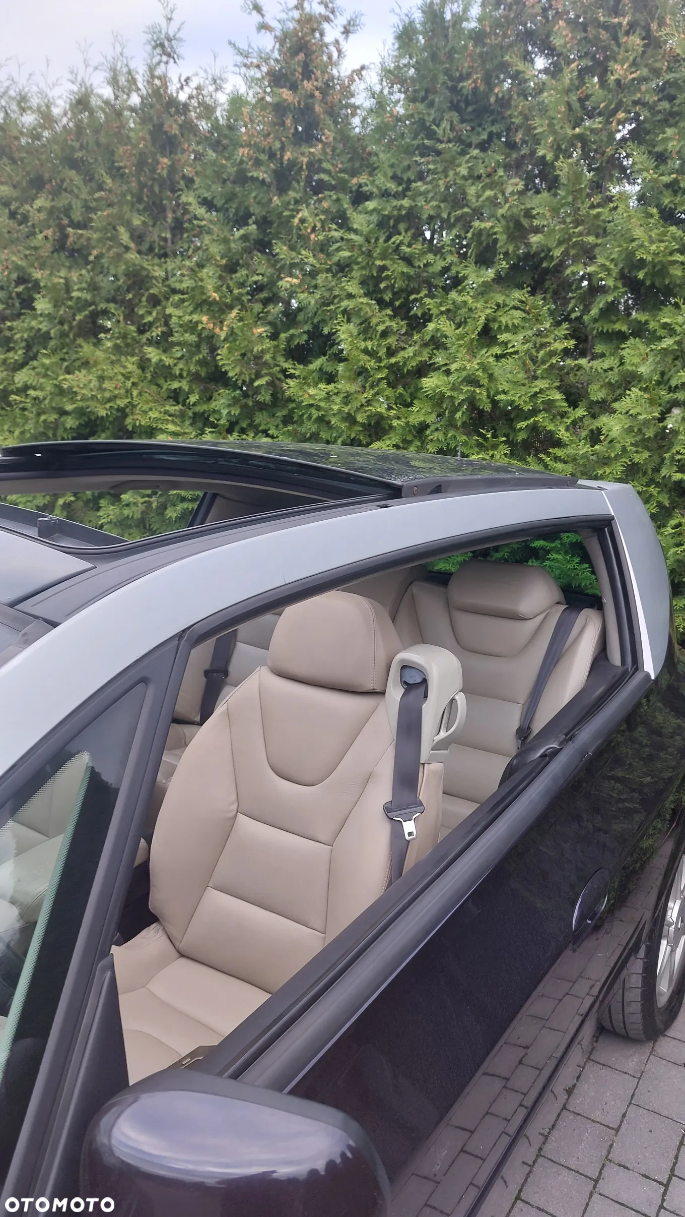 Renault Avantime 3.0 V6 Privilege - 2