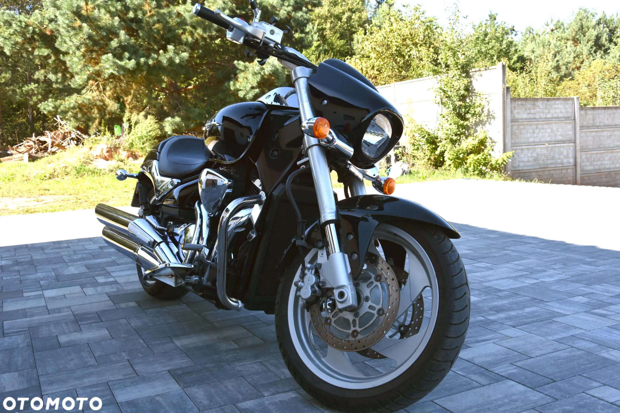Suzuki Intruder - 20