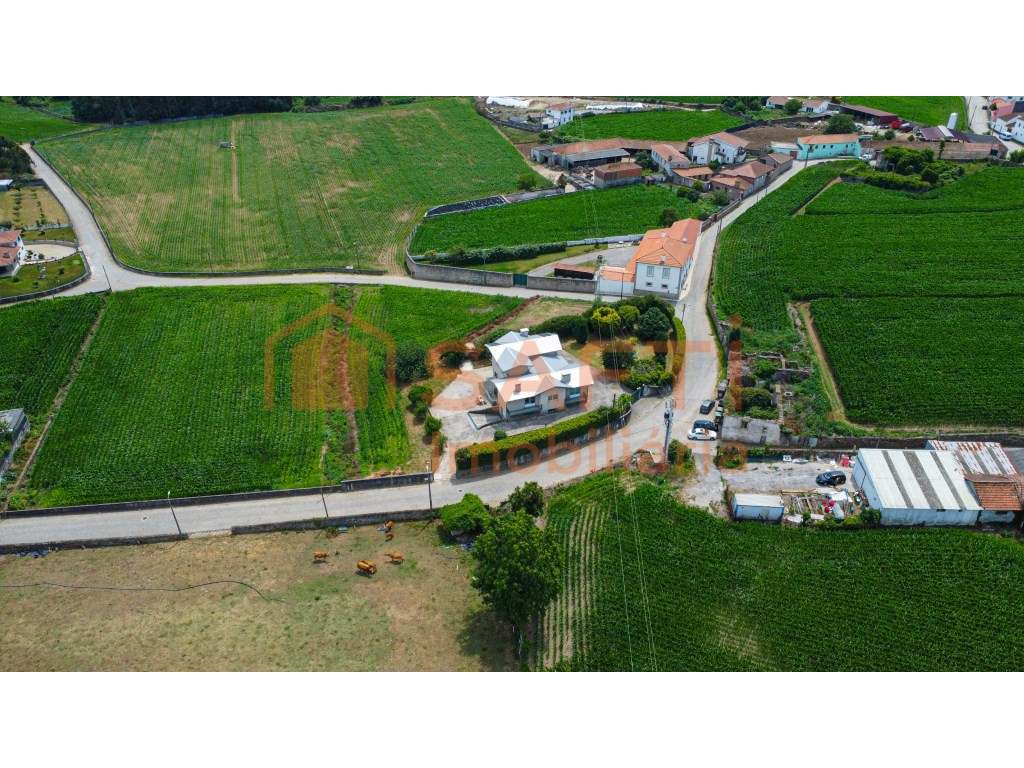 Moradia Bi-Familiar T4 inserida num lote de 1.480 m² em Gião, Vila ... - Grande imagem: 5/56