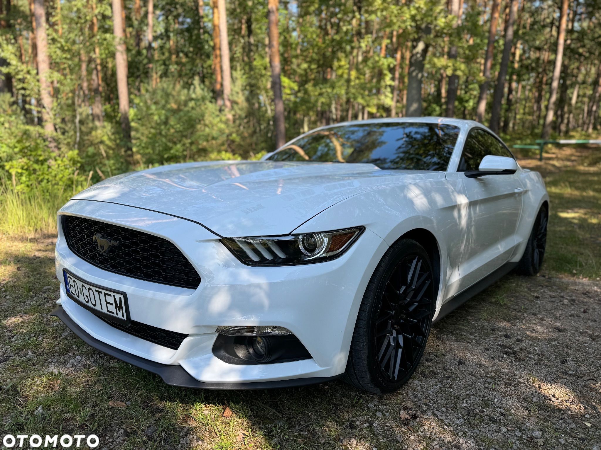 Ford Mustang - 1