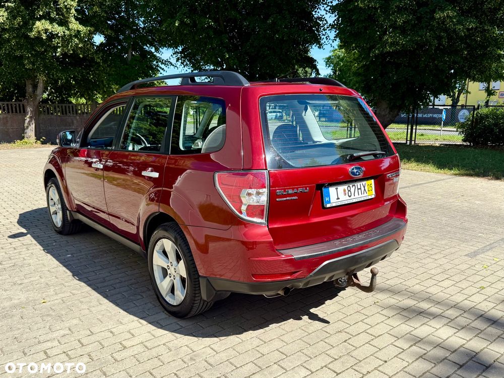 Subaru Forester - 6
