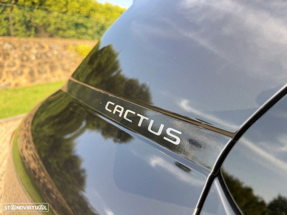 Citroën C4 Cactus 1.2 PureTech Shine - 14