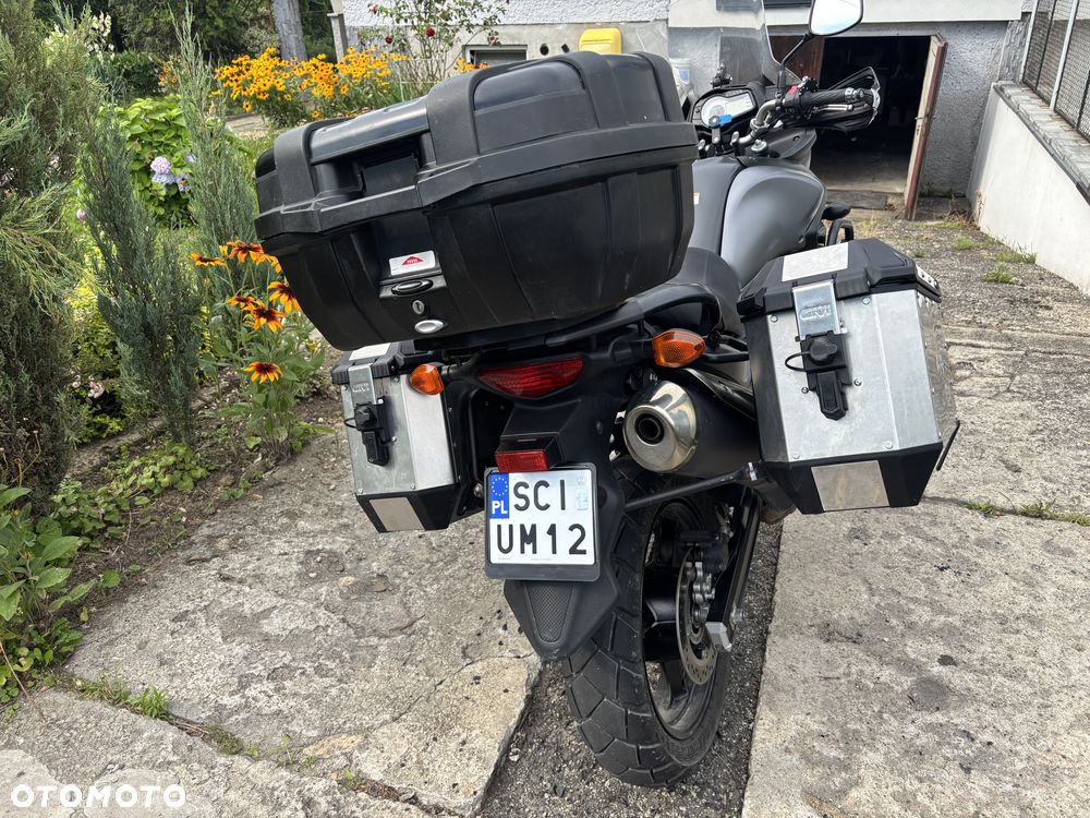 Suzuki DL - 3